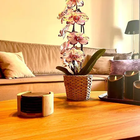 T2 Le Sunscene-parking-clim-terrasses-centre- Capitalchic Services Apartmán Cannes